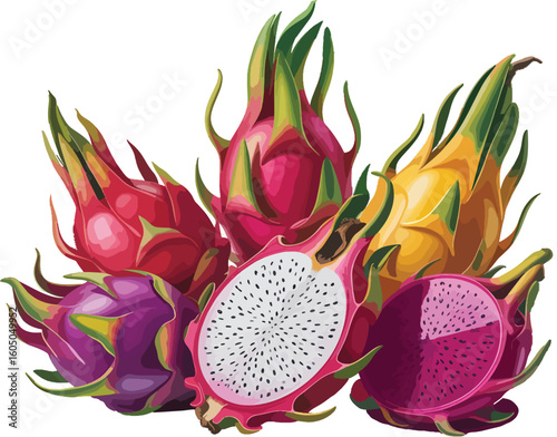 Fresh Dragon Fruit Vector Collection – High-Quality Tropical Fruit Images