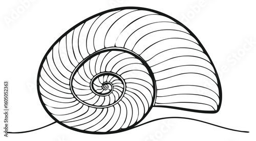 Black and white illustration of a spiral nautilus shell on a simple line