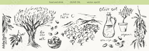 Hand drawn olive branches with leaves and berries ink sketches. Olive tree, bottle, olives. For food and drink background, olive oil labels and packaging.