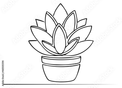 Line drawing of succulent plant in a pot