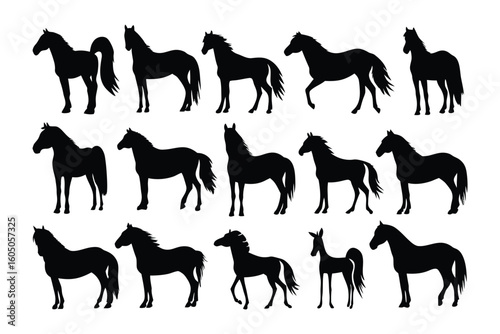Collection of silhouette kangaroos in various poses showing different stages of life and movement