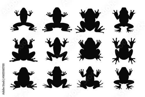 Collection of silhouetted aquatic fish species showcasing diverse shapes and fins against a clean white background