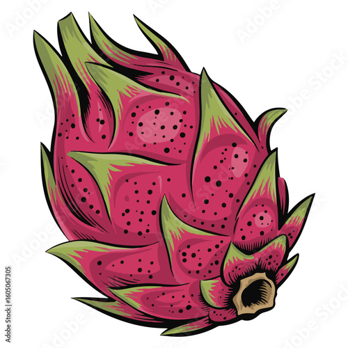 Exotic pink dragon fruit blossom with a healthy pitaya fruit on a white background