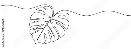 Continuous hand drawn line Monstera plant Simple art lines, vector on transparent background, editable strokes.