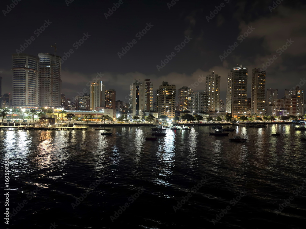 Fototapeta premium American night. Lights of the big city