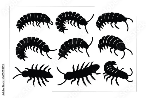 Collection of silhouetted arthropods featuring diverse segmented bodies and numerous legs against a white background