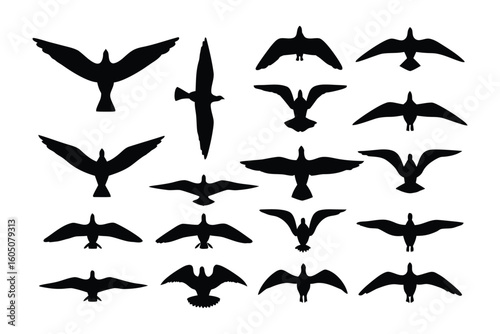 A collection of fifteen identical black bird silhouettes standing with their legs spread apart on a white background