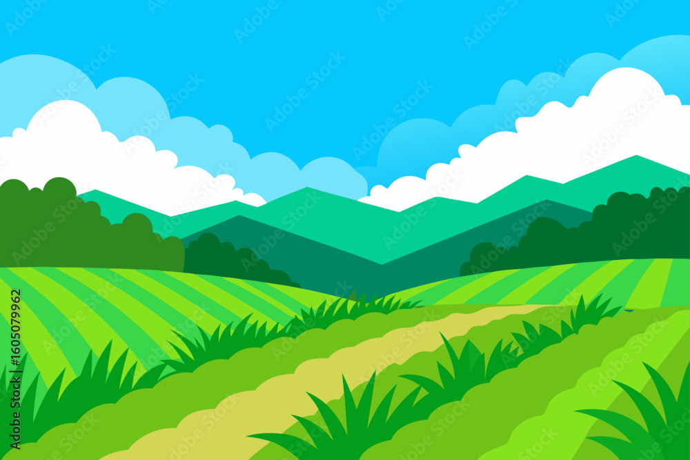 Obraz premium Lush Green Rice Paddies Rural Vector Illustration