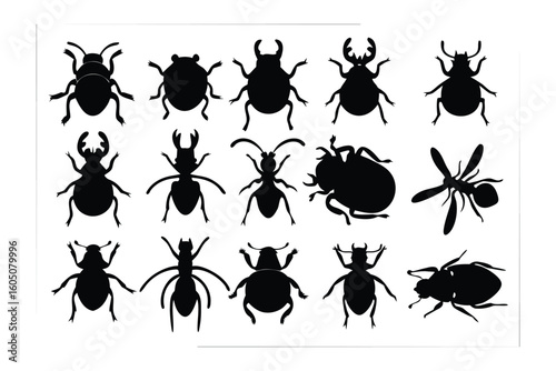 Collection of silhouetted insect illustrations showcasing diverse arthropod forms and features