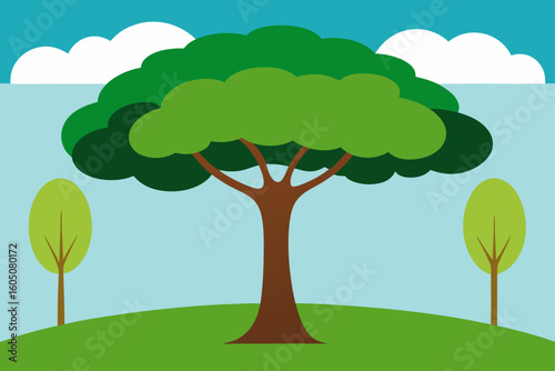 Tree canopy over lawn shaded green outdoor area