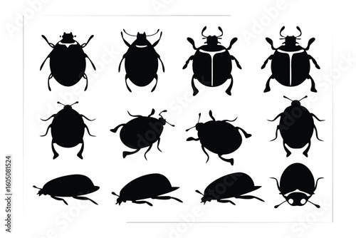 Collection of silhouetted insects featuring moths butterflies beetles and other arthropods in various poses