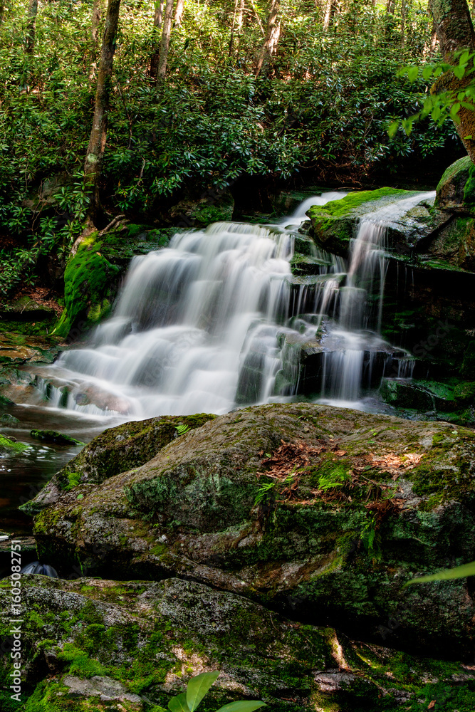Obraz premium Elakala Falls Number Two, Blackwater Falls State Park, West Virginia