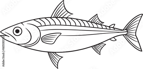 Black and white mackerel fish drawing ideal for coloring books and underwater learning illustrations