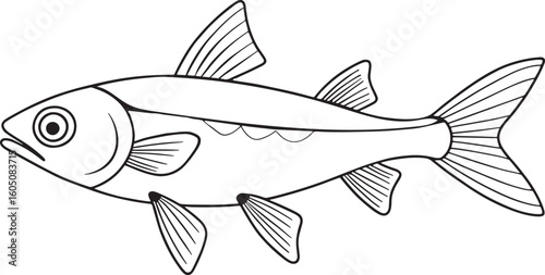 Minnow fish outline in simple style for sea life educational materials and coloring books for kids