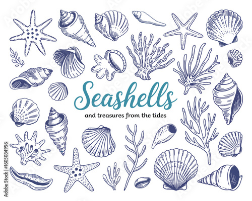 Seashell Vector Clipart Set – Hand-Drawn Ocean-Inspired Whimsical Shells in Doodle Style, Perfect for Beach Decor, Sea-Themed Prints, Scrapbooking, and Digital Creative Design Use

