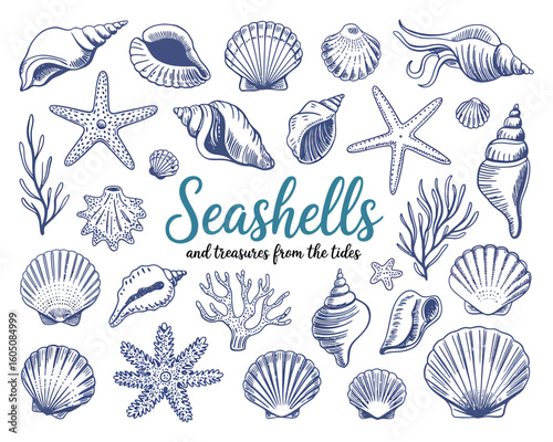 Seashell Vector Clipart Set – Hand-Drawn Ocean-Inspired Whimsical Shells in Doodle Style, Perfect for Beach Decor, Sea-Themed Prints, Scrapbooking, and Digital Creative Design Use

