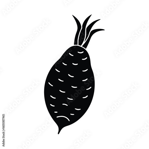 vector illustration of a taro root
