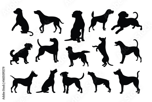 Collection of diverse black cat silhouettes in various poses showcasing their graceful forms and elegant postures