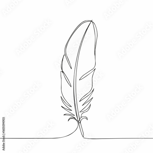 Elegant line drawing of a feather on a white background  