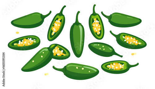 Set of fresh green jalape?o peppers, illustrated whole, halved, and sliced to show the seeds and placenta.