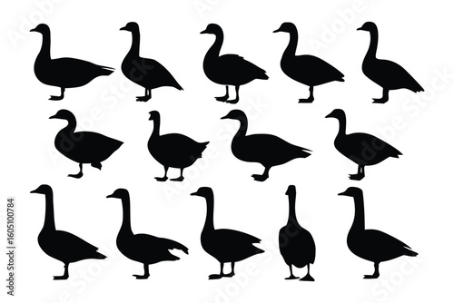A collection of twelve stylized black and white guinea fowl illustrations showcasing distinct poses and patterns