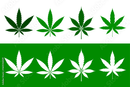 Set of green and white cannabis leaves isolated on white and green backgrounds