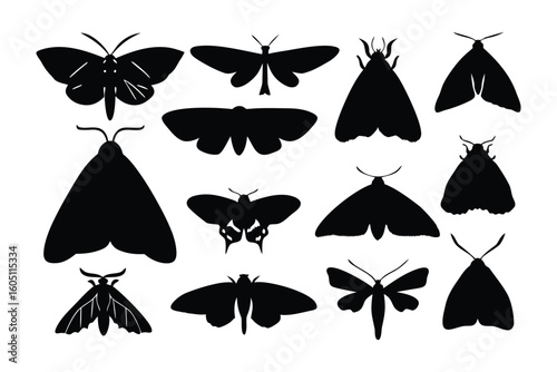 Collection of silhouetted moths displayed in various poses against a white background