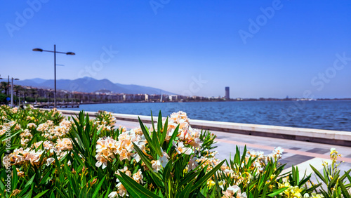 A sunny summer day in Izmir, Turkey.
