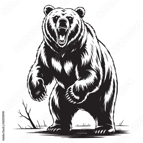 Fierce grizzly bear standing tall with open mouth and sharp claws vector design
