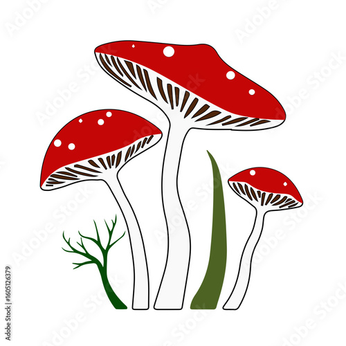 Vector postcard templates for nature lovers, Fly agaric mushrooms on transparent background for design concept