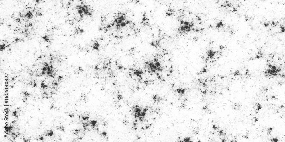 Fototapeta premium Texture black and white old surface. Abstract monochrome background pattern of dust, stains. Abstract background. Monochrome texture. Vector grunge black and white.