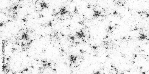 Texture black and white old surface. Abstract monochrome background pattern of dust, stains. Abstract background. Monochrome texture. Vector grunge black and white.