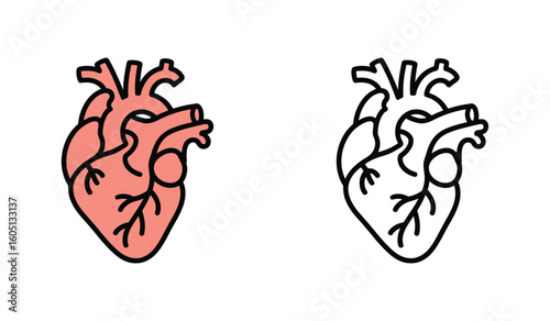 Anatomical Heart Illustration Depicting Cardiovascular System with Line Art and Color Variations