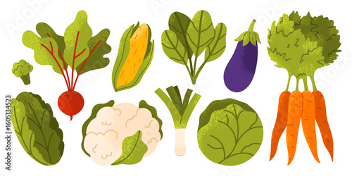 Healthy farm-grown vegetables set. Fresh organic food and natural harvest collection. Crops and organic food lifestyles. Vector illustration in cartoon style. Isolated on white background