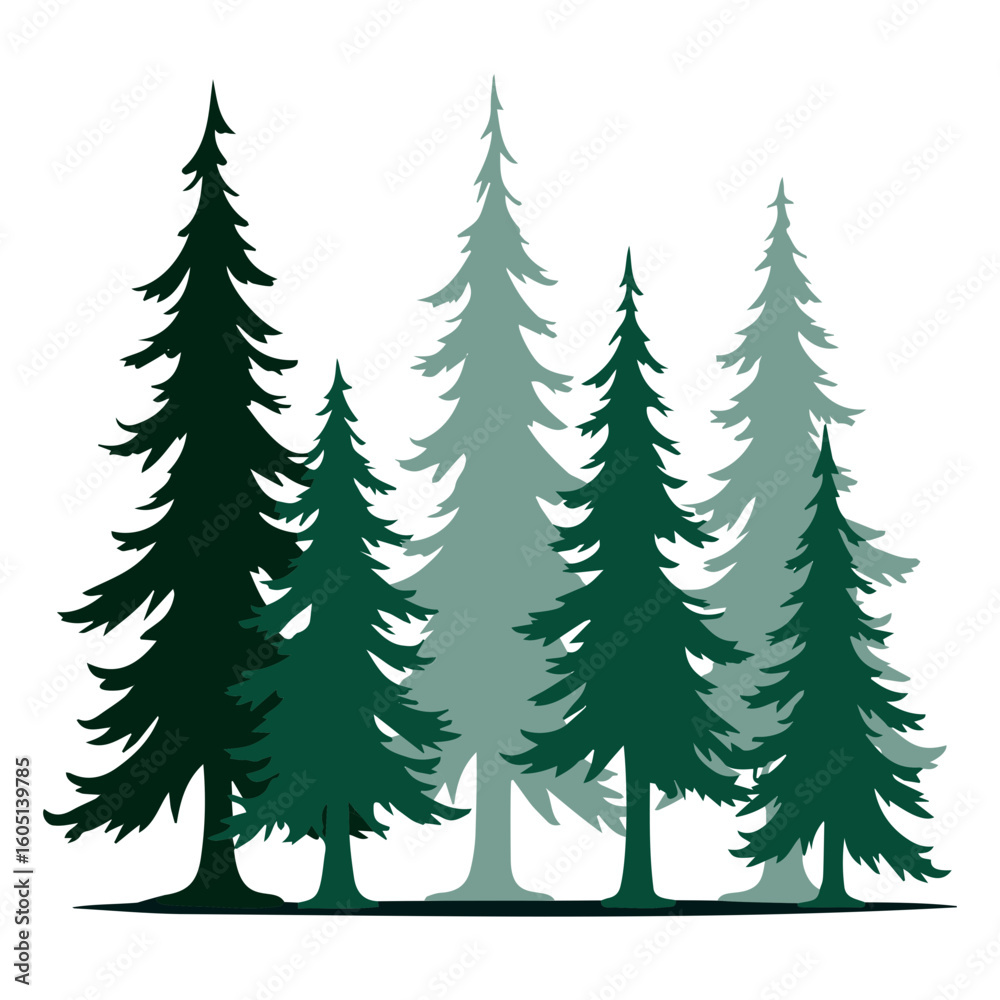 Obraz premium Vector postcard templates for nature lovers, Fir trees in shades of green on transparent background for design concept