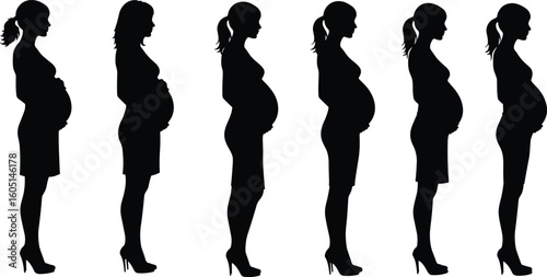 Pregnancy stages silhouette, maternity progression, expecting mothers, side view illustration, prenatal development, black white concept