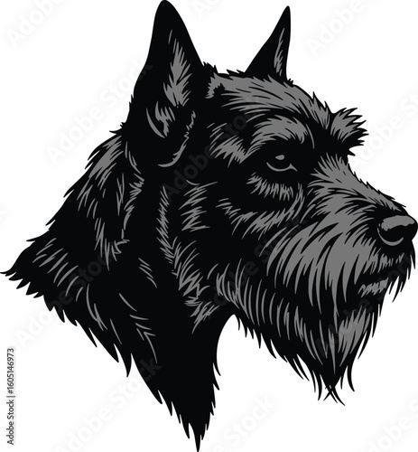 Schnauzer dog head, black silhouette, furry face, beard and eyebrows, isolated on white, pet illustration