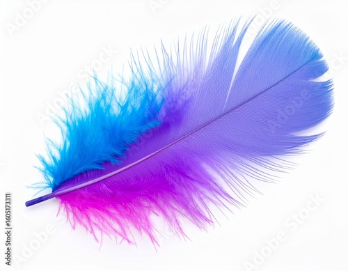 colorful feathers isolated on white