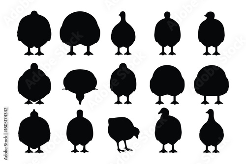 Collection of silhouetted birds of prey in various poses and flight positions