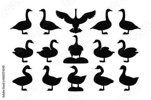 Collection of diverse black silhouette illustrations of various turkey poses and styles on a white background