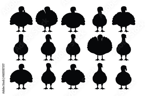 Collection of silhouetted birds of prey including eagles and cormorants in various poses and perched positions