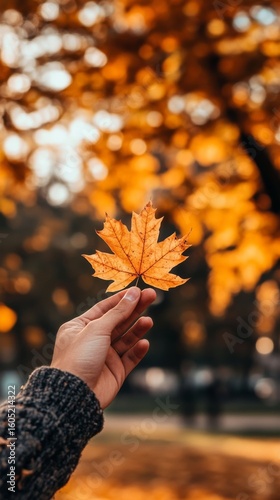 Hand Holding a Vibrant Orange Maple Leaf During Autumn in a Serene Park Setting.