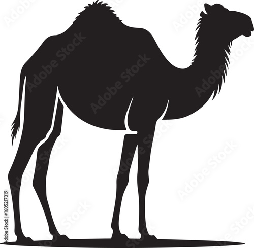 Camel Vector Illustration of a Desert Animal with Hump in Cartoon Style