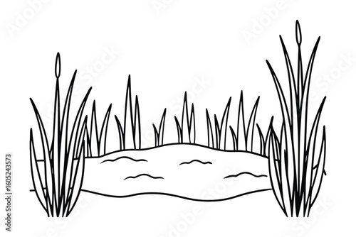 Outline Drawing Of A Swamp With Reed