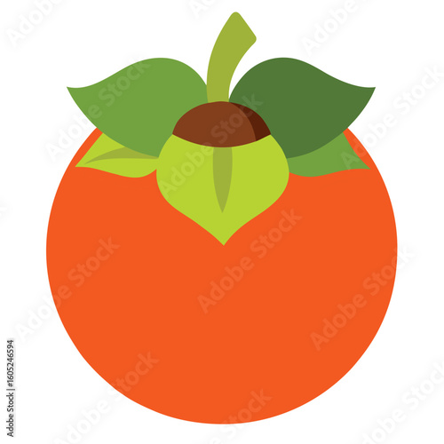 American Persimmon colorful vector on a white background