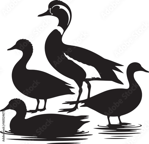 White geese and young wild ducks with feathers on a lake
