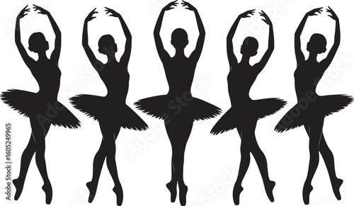 Five black silhouette ballet dancers in graceful poses on white background vector