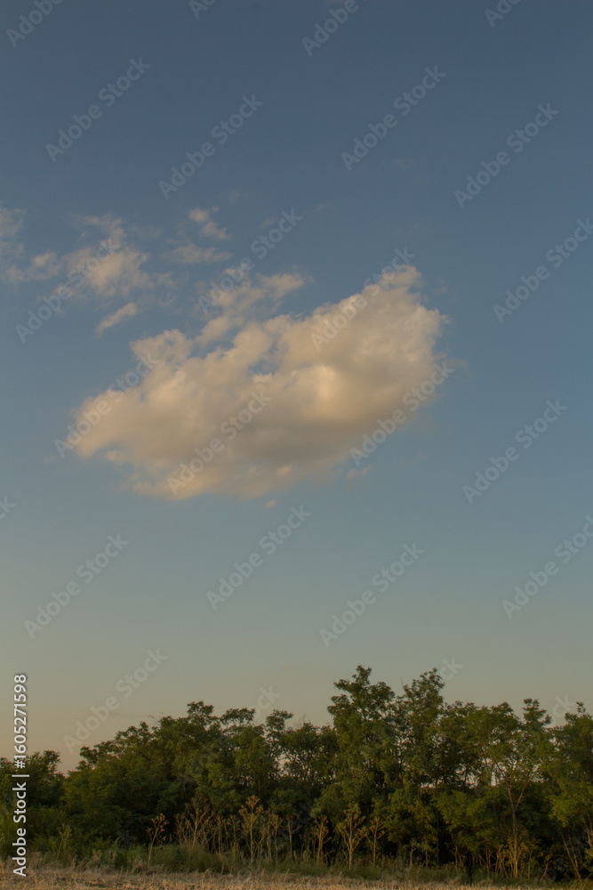 Obraz premium A blue sky with white clouds