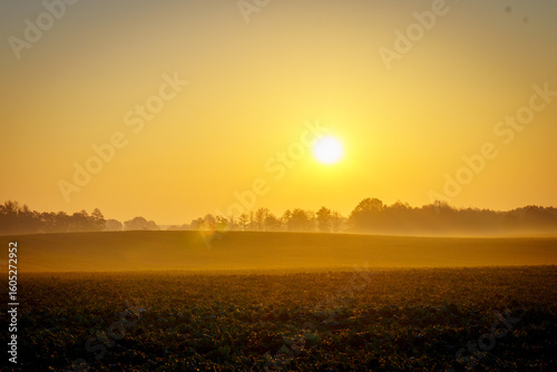 Sunrise over misty rural field with golden light and autumn landscape