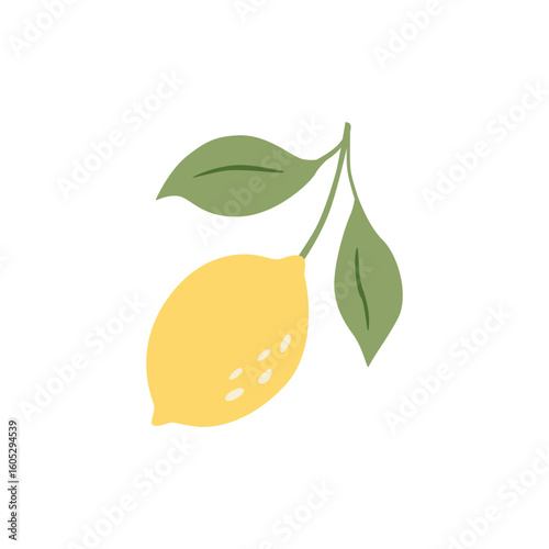 fresh lemon vector illustration vibrant lemon vector art